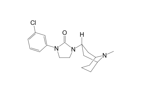 endo-1-[9-Methyl-9-azabicyclo[3.3.1]non-3-yl]-3-(3-chlorophenyl)imidazlidin-2-one hydrochloride