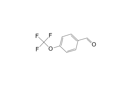 4-Trifluoromethoxy-benzaldehyde