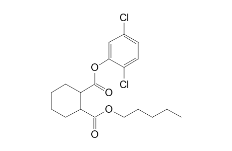 1,2-Cyclohexanedicarboxylic acid, 2,5-dichlorophenyl pentyl ester