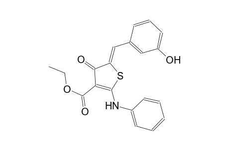ethyl (5Z)-2-anilino-5-(3-hydroxybenzylidene)-4-oxo-4,5-dihydro-3-thiophenecarboxylate