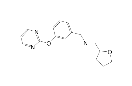 (Oxolan-2-ylmethyl)({[3-(pyrimidin-2-yloxy)phenyl]methyl})amine