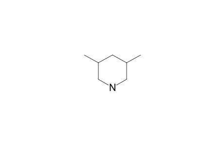 cis-3,5-Dimethyl-piperidine