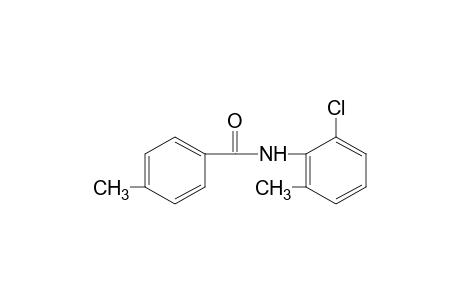 6'-chloro-p-tolu-o-toluidide