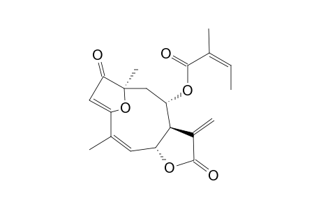 LYCHNOFOLIDE