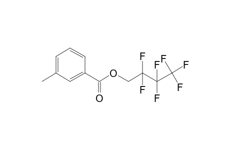 3-Methylbenzoic acid, 2,2,3,3,4,4,4-heptafluorobutyl ester