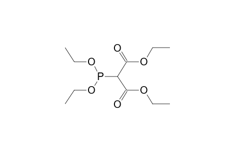 C-DIETHOXYPHOSPHINOMALONIC ETHER