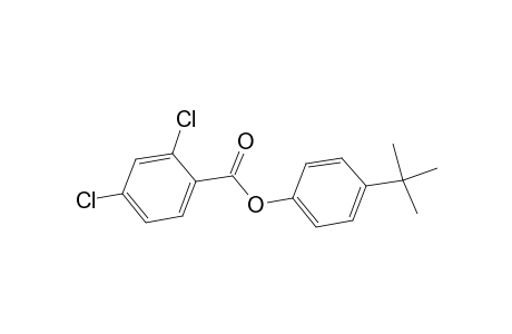 2,4-dichlorobenzoic acid, p-tert-butylphenyl ester