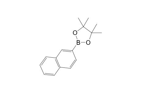 Naphthalene-2-boronic acid pinacol ester