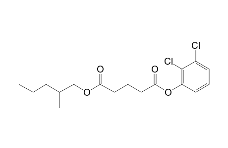 Glutaric acid, 2,3-dichlorophenyl 2-methylpentyl ester