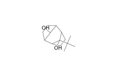 9-tert-BUTYLTRICYCLO[4.2.1.1 2,5]DECANE-9,10-DIOL