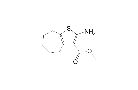 methyl 2-amino-5,6,7,8-tetrahydro-4H-cyclohepta[b]thiophene-3-carboxylate