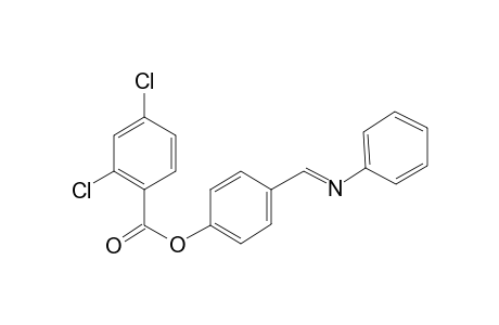 Benzoic acid, 2,4-dichloro-, (4-phenylaminomethylen)phenyl ester