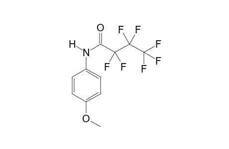 MeOPP-M (4-methoxyaniline) HFB    @