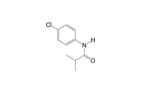 N-(4-Chlorophenyl)-2-methylpropanamide