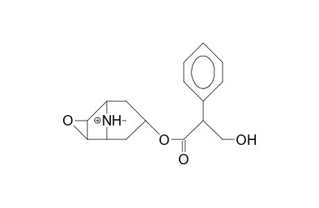 Scopolaminium cation