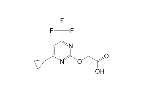 (4-Cyclopropyl-6-trifluoromethylpyrimidin-2-yloxy)acetic acid