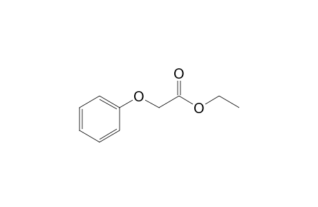 Phenoxyacetic acid, ethyl ester