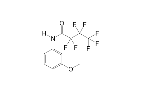 3-Methoxyaniline hfb