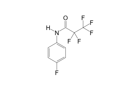 4-Fluoroaniline PFP