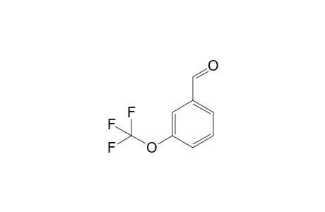 3-(Trifluoromethoxy)benzaldehyde