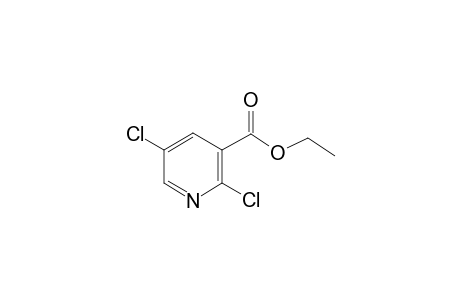 3-Pyridinecarboxylic acid, 2,5-dichloro-, ethyl ester