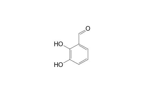 2,3-Dihydroxybenzaldehyde