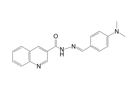 3-quinolinecarboxylic acid, [p-(dimethylamino)benzylidene]hydrazide