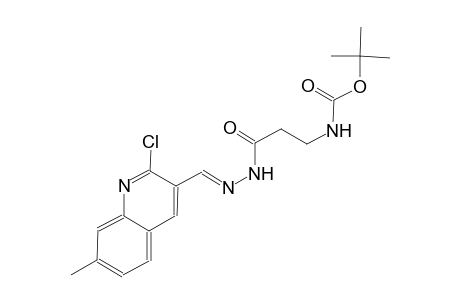 tert-butyl 3-{(2E)-2-[(2-chloro-7-methyl-3-quinolinyl)methylene]hydrazino}-3-oxopropylcarbamate