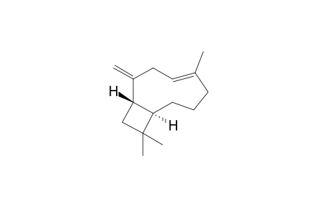 beta-Caryophyllene