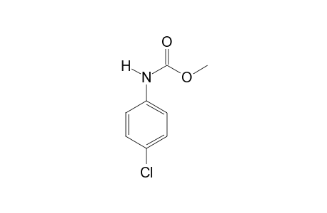 p-chlorocarbanilic acid, methyl ester