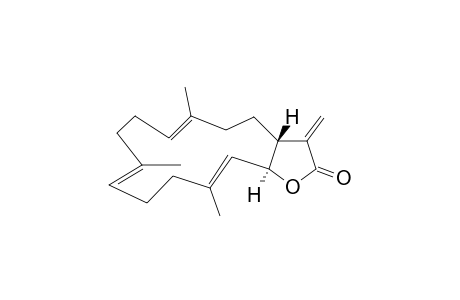 (-)-trans-Cembranolide