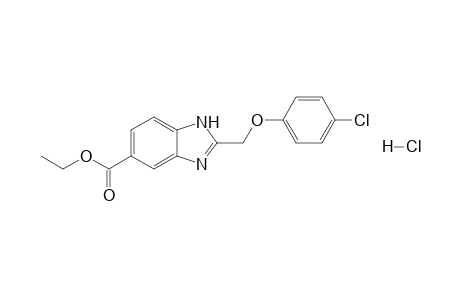 Ethyl 2-[(4'-chlorophenoxy)methyl]-[1H]-benzimidazole-5-carboxylate - hydrochloride