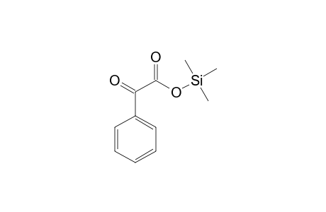 Benzeneacetic acid, .alpha.-oxo-, trimethylsilyl ester