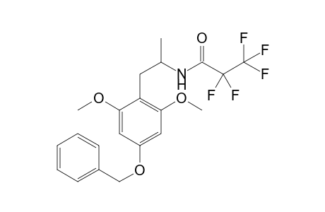 Psi-MBNM PFP