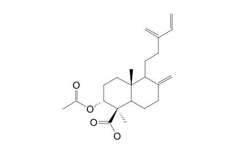 JUNIPEREXCELSIC-ACID;3-ALPHA-ACETOXY-LABDA-8(17),13(16),14-TRIEN-19-OIC-ACID