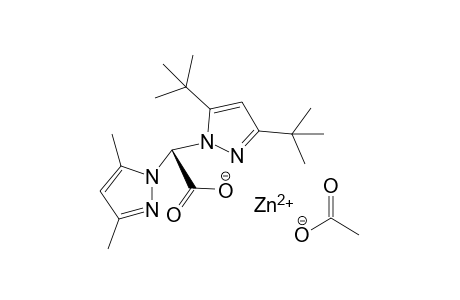 zinc(II) (R)-2-(3,5-di-tert-butyl-1H-pyrazol-1-yl)-2-(3,5-dimethyl-1H-pyrazol-1-yl)acetate acetate