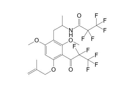 Psi-MMALM 2PFP