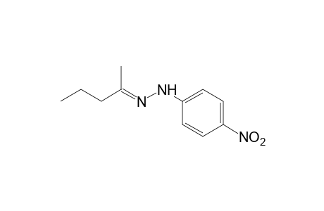 2-pentanone, (p-nitrophenyl)hydrazone