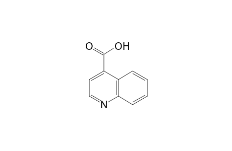 Quinoline-4-carboxylic acid