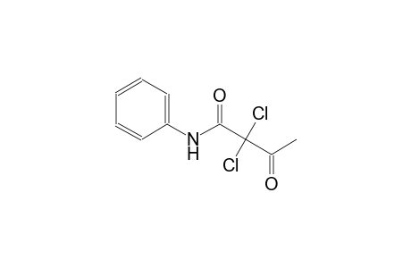 butanamide, 2,2-dichloro-3-oxo-N-phenyl-