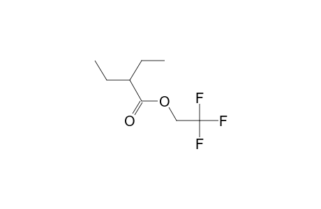 2-Ethylbutyric acid, 2,2,2-trifluoroethyl ester