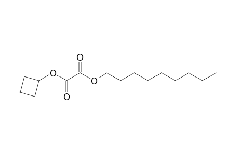 Oxalic acid, cyclobutyl nonyl ester