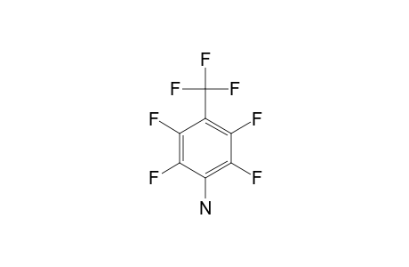 2,3,5,6-Tetrafluoro-4-(trifluoromethyl)aniline