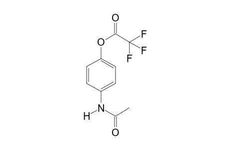 Paracetamol TFA