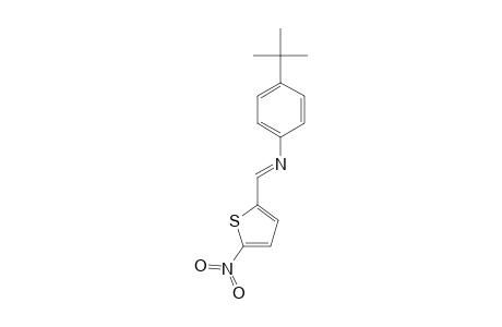 2-{[(p-tert-butylphenyl)imino]methyl}-5-nitrothiophene