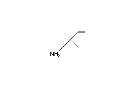 2,2-dimethylbut-3-enylamine