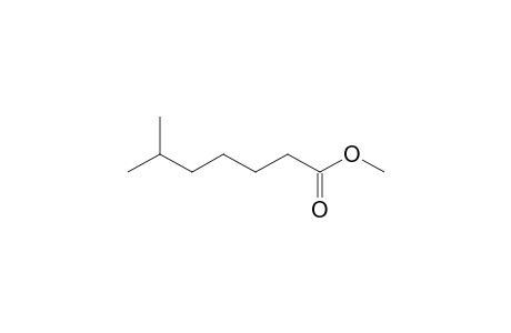 Methyl 6-methyl heptanoate