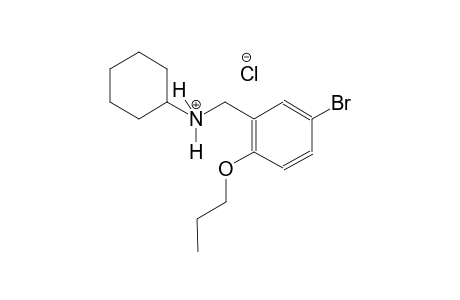 N-(5-bromo-2-propoxybenzyl)cyclohexanaminium chloride
