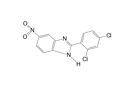 2-(2,4-dichlorophenyl)-5(or 6)-nitrobenzimidazole