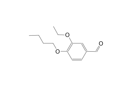 benzaldehyde, 4-butoxy-3-ethoxy-